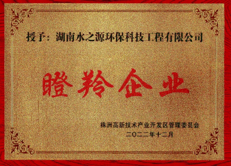 7.1瞪羚企業(yè).jpg 7.1瞪羚企業(yè).jpg